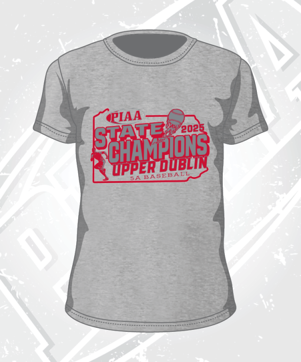 Upper Dublin 2025 PIAA 5A Baseball State Champions