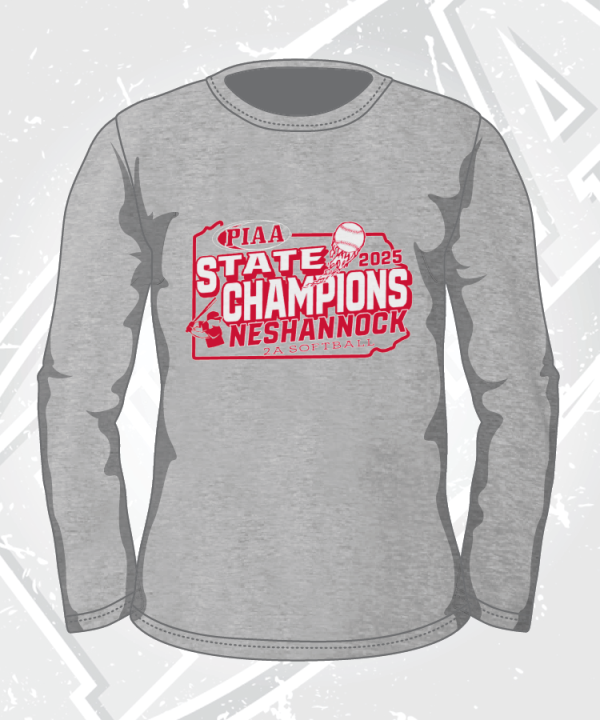 Neshannock 2025 PIAA 2A Softball State Champions - Image 3